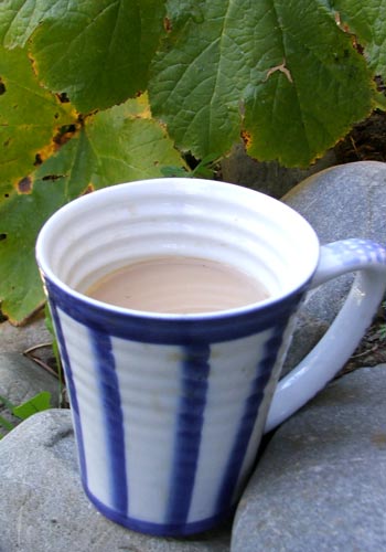  Mug of tea - Hot? Luke warm? 