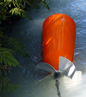  Floating in the water race. 