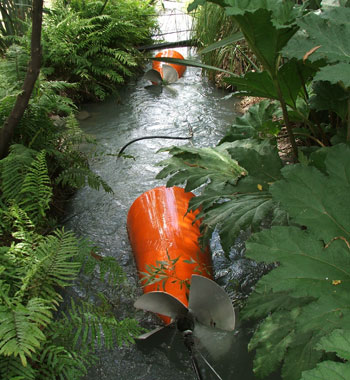  In the water race, where the water comes from. 