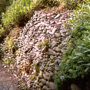  Stones collected from the property make this retaining 'drystone' wall. 