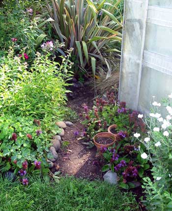  A freshly cleared path of modest size. 