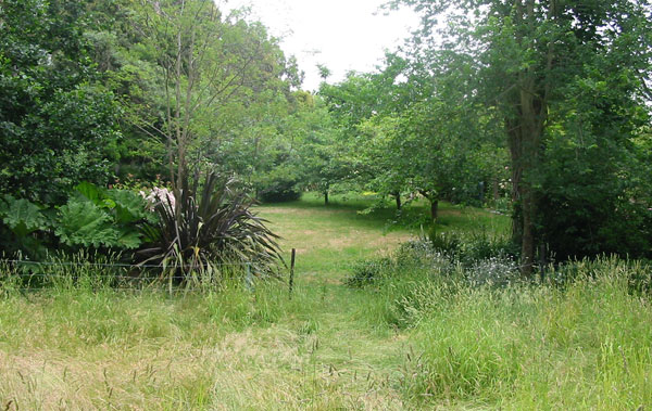  A view from the small ram paddock. 