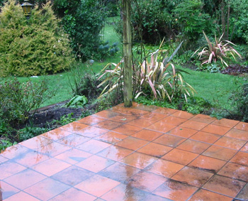  The house patio. 