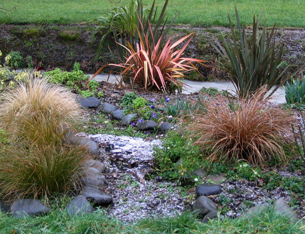  Tussocks and Phormiums are OK with frost. 