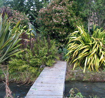  The water race runs underneath the bridge. 