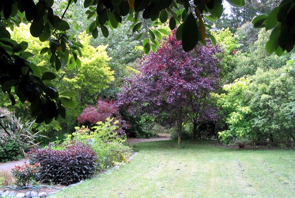  Beautifully, freshly mowed. 