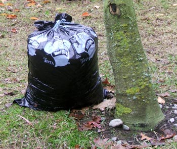 Full of autumn leaves - hopefully to make some leaf-mould! Full of autumn leaves - hopefully to make some leaf-mould!