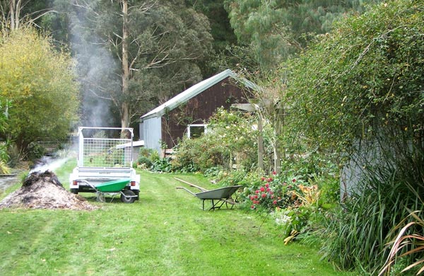  The burning pile, the trusty green wheelbarrow - and check out the cerise red dahlias flowering madly by the pergola! 