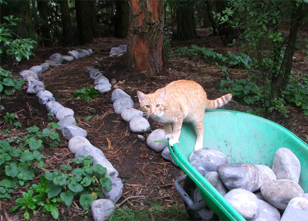  This photograph was taken last week when I was working on the new Hump path. 