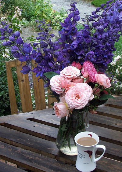  With delphiniums and roses - photographed on the patio table. 