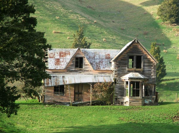  An old cottage in a farm paddock. 