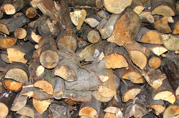  All stacked neatly in the woodshed. 