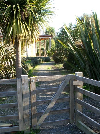  Flaxes and Cordylines surround a New Zealand cottage gate. 