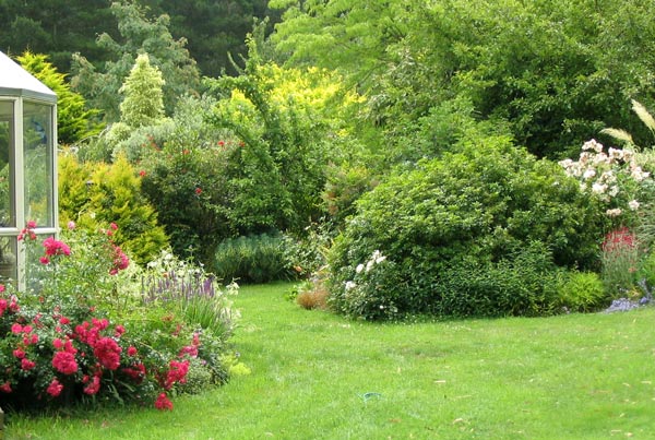  The bright pink rose is a Flower Carpet one. I take this same photo every year! 