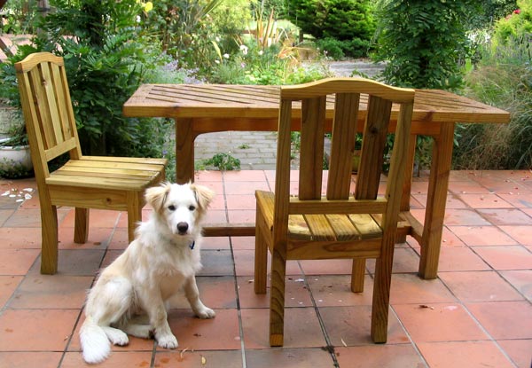  The puppy is sitting by my outdoor patio table and chairs. 