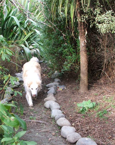  This path goes through the middle of Middle garden! 