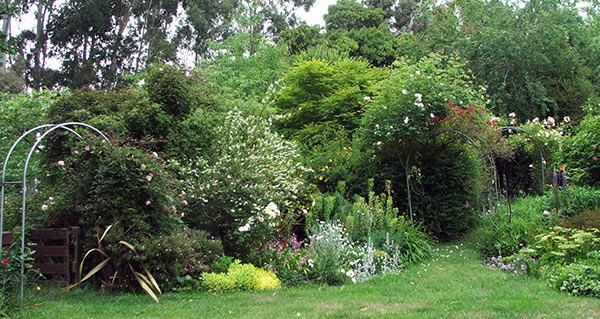  Yes - here is the obligatory pre-Christmas photograph of the gardens at the side of the house! 