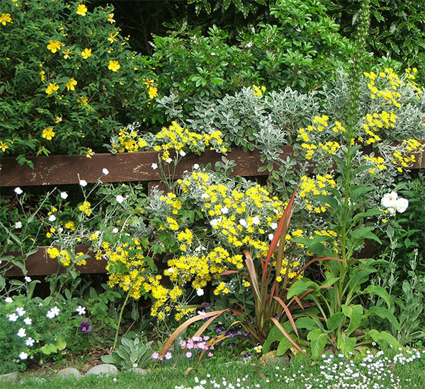  Beautiful flowers, which lift my sagging spirits - but enough of that! 