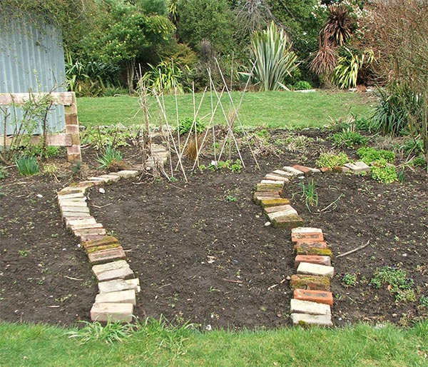  There are a few vegies ready to be planted. 