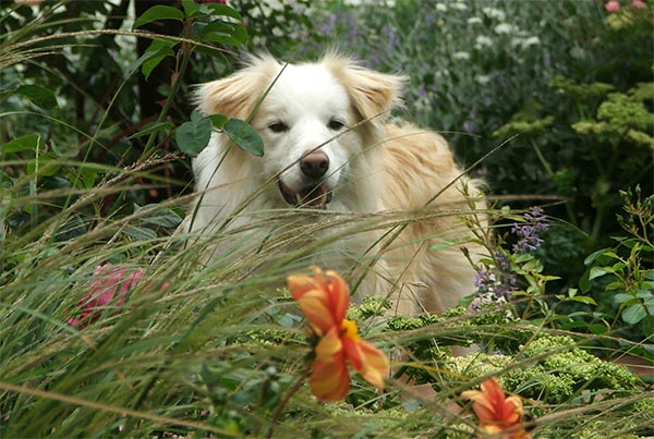  He is waiting by the BBQ. 