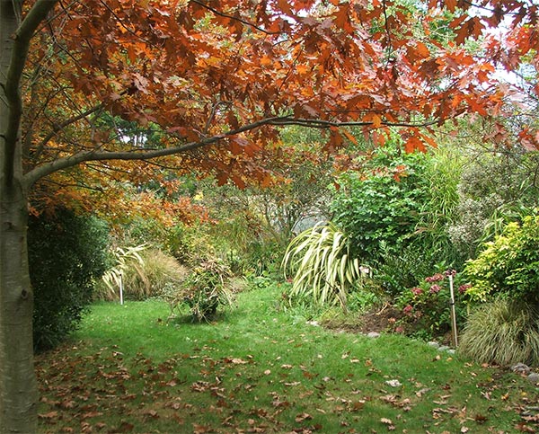  Almost ready for a leaf clean-up! 