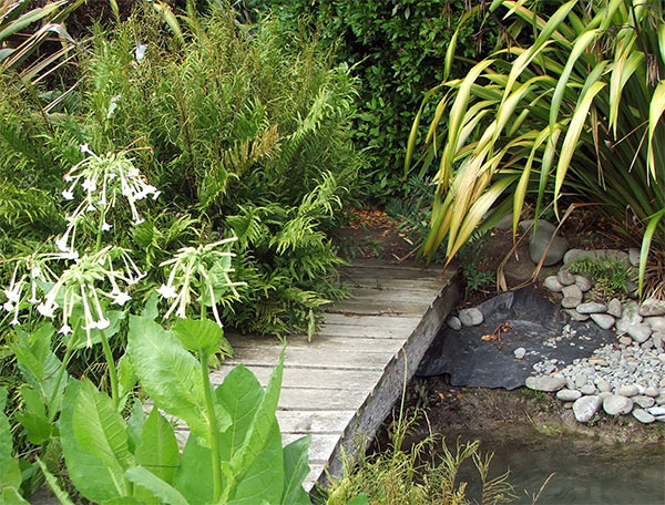  I am covering the weed-mat with stones. 