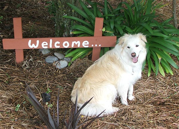  This is the first garden a visitor sees. 