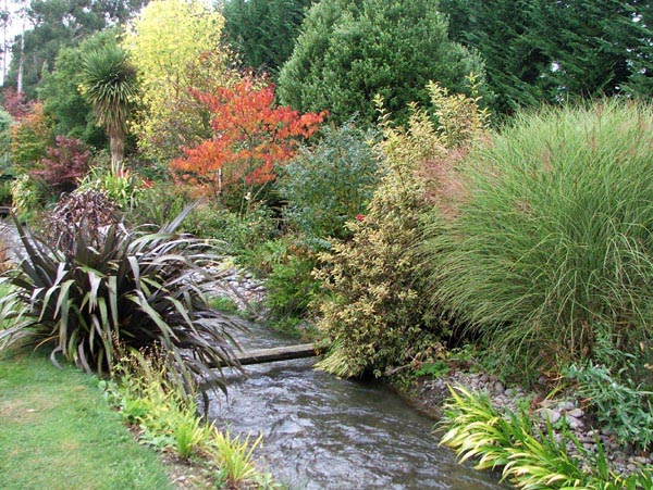  I love all the beautiful red shrubs and trees. 