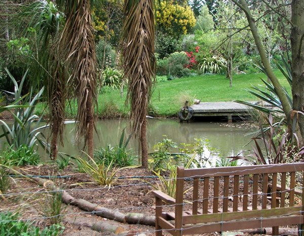  New plants, new path, new seat position. 