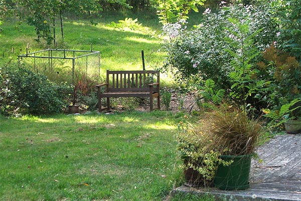  You can see my newest garden bench. 