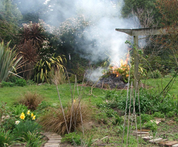  The vegetable garden is in the foreground. 