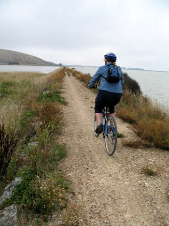  On the causeway by Lake Ellesmere. 