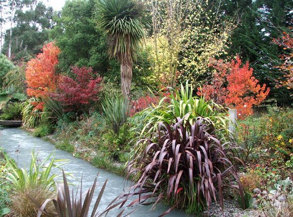 Look at those wonderful red shrubs and trees! Look at those wonderful red shrubs and trees!