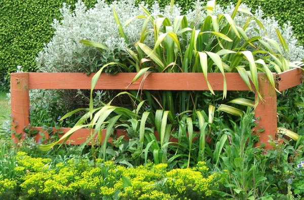  Euphorbia, Flax and Senecio Shrub. 