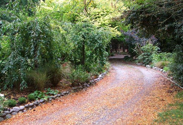  Starting to fall in the driveway. 