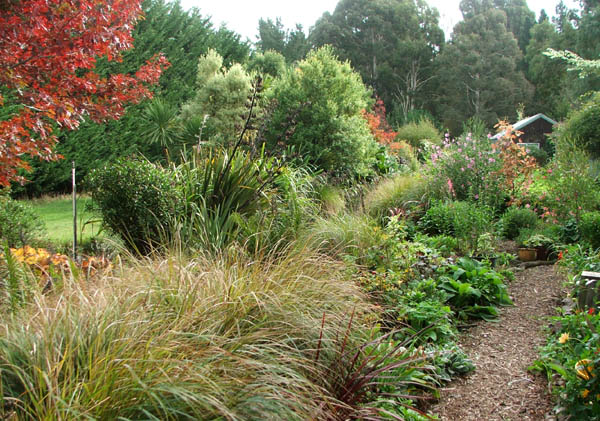  With shining grasses and autumn leaves to enjoy. 