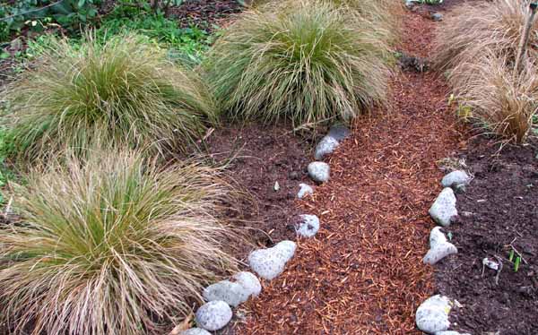  One of the new Willow Tree Garden paths. 