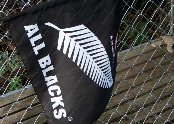  My All Black flag is on Rusty's dog kennel. 
