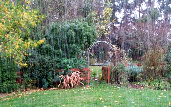  Too wet to garden? 