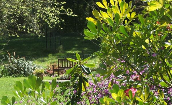  A view from the colourful Wattle Woods. 