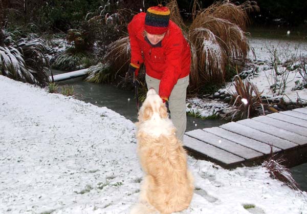  Head Gardener and Rusty in the snow. 