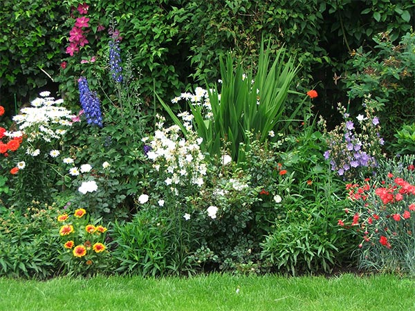  Part of the back border. 