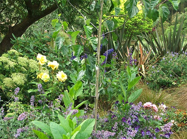  I am busy cleaning this garden up. 