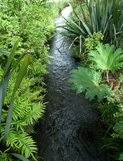  Cool water, surrounded by lovely greenery. 