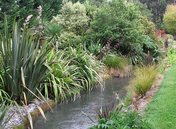  I love all this beautiful greenery. 