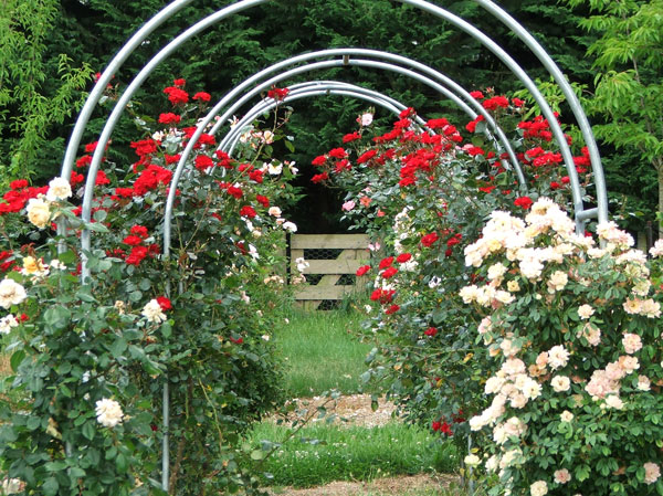  Looking back to the Hazel Gate. 