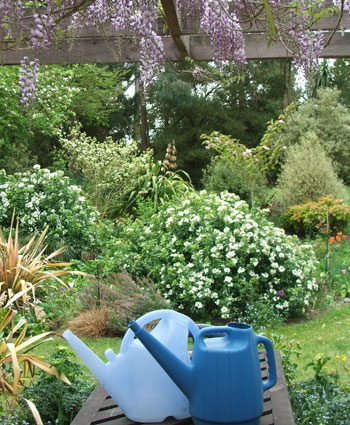  Watering cans, Wisteria... 