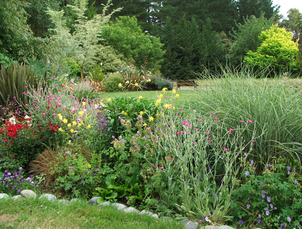  A beautifully rosy summer garden. 