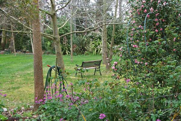  One of my new garden seats. 