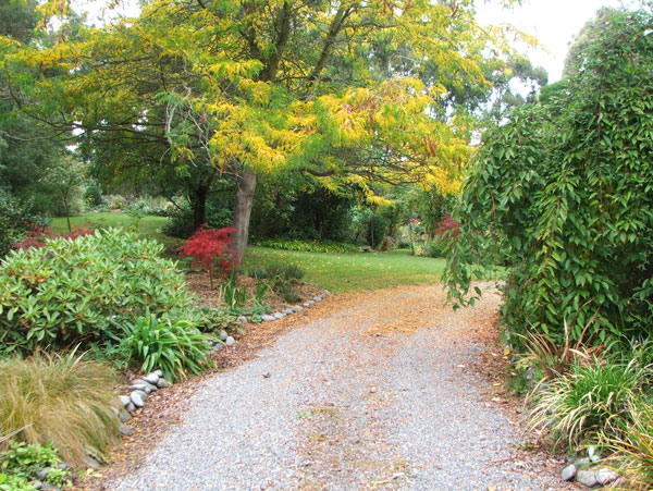  The walk in down the driveway. 